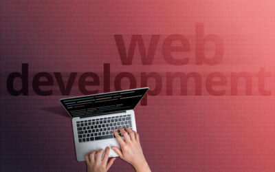 What Are the Key Factors to Consider When Choosing a Website Development Company in Texas?