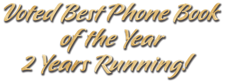 voted-best-phone-book-new-768x280 Top 10 Web Design Trends to Skyrocket the Online Presence of Your Business in 2025